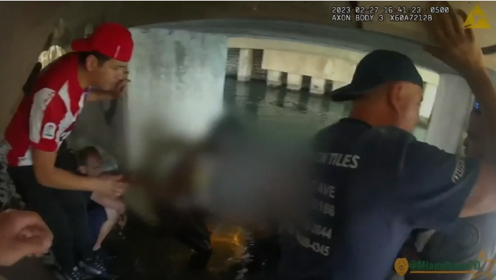 Video: Florida officers save boy trapped in submerged car