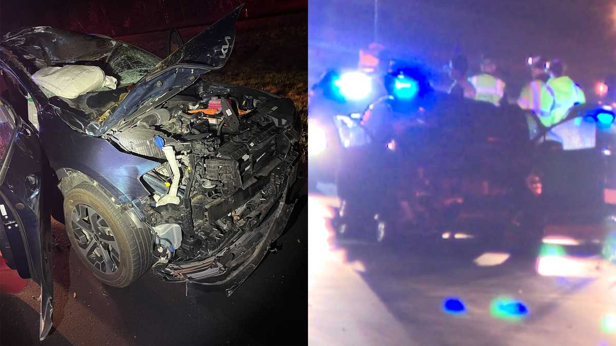 Moose struck by 2 vehicles on New Hampshire highway