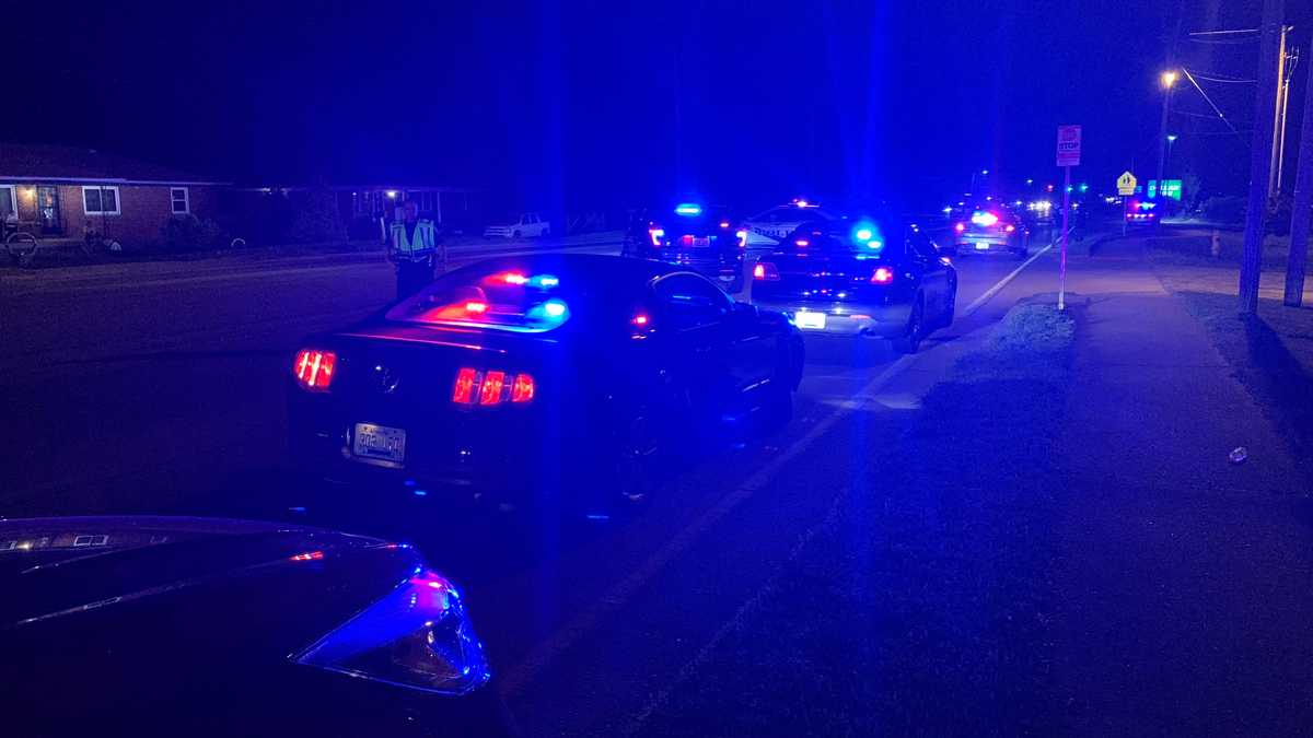 Pedestrian hit, killed by vehicle on Cane Run Road