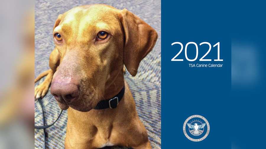 TSA canine calendar
