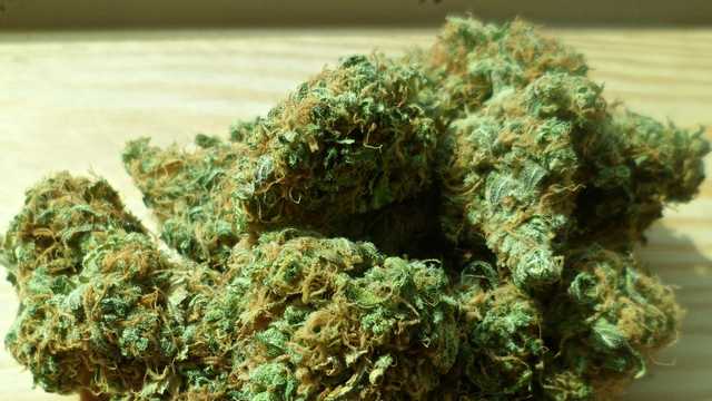 Confusion grows as lawmakers continues debating regulations on marijuana purchases - Vimarsana News