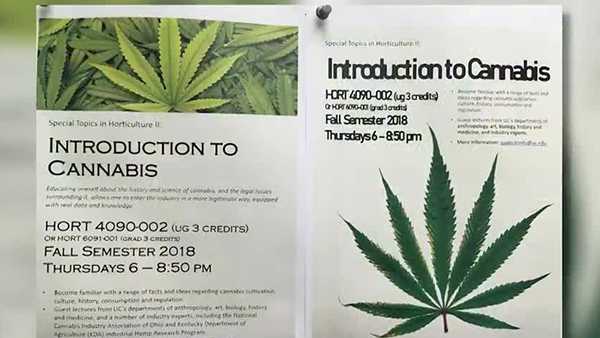 'Intro To Cannabis' Course Available At University Of Cincinnati This Fall