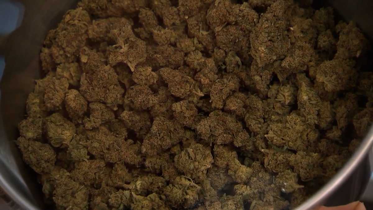 Effort to repeal recreational marijuana in Maine could be on 2026 ballot