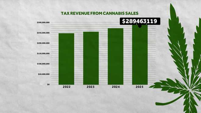 ﻿Tax revenues from cannabis sales reached an all-time high in Massachusetts last fiscal year.