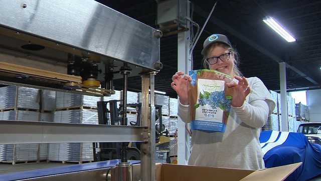 5 for Good: Effort to turn food waste into fertilizer benefits disability community on Cape Cod - Vimarsana News