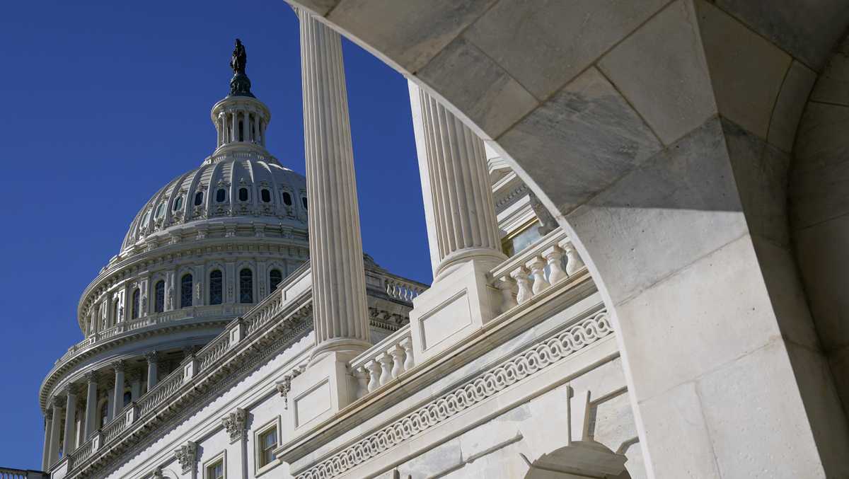 President Biden urges Senate Dems to rally behind .9T virus bill