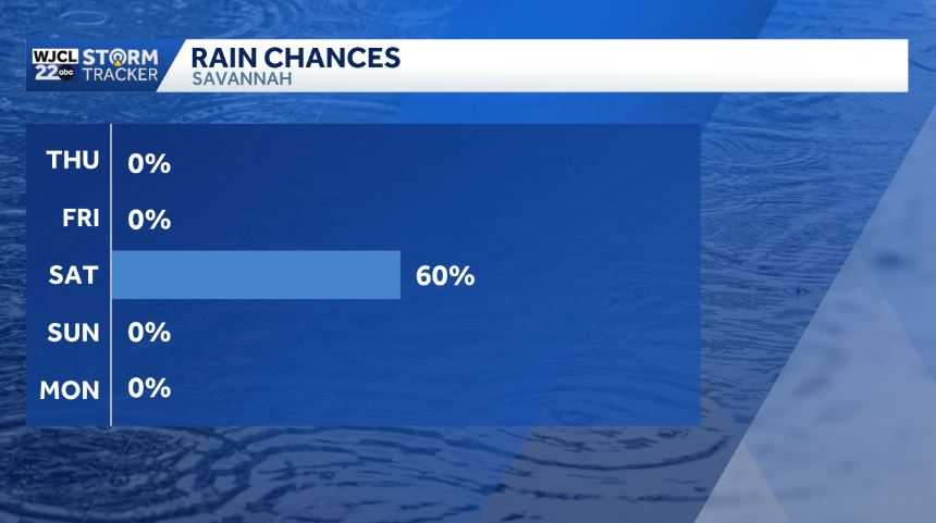 Sunny start to 2026, but rain returns on Saturday for SE Georgia and ...