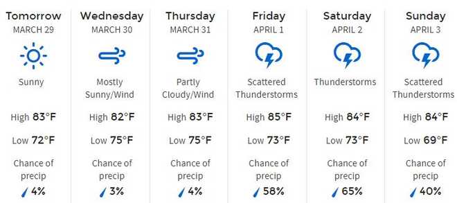 South Florida weather forecast for the week ahead