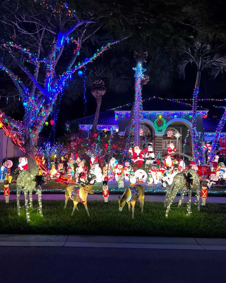 Florida holiday lights and decorations