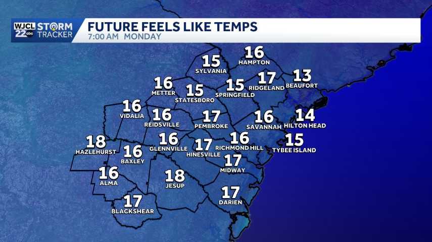 Hard freeze expected across Southeast Georgia and the Lowcountry on ...