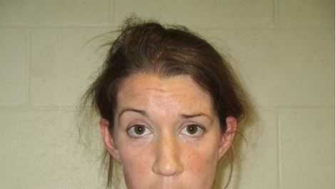 Police: Dog found panting in hot car; woman charged with animal cruelty
