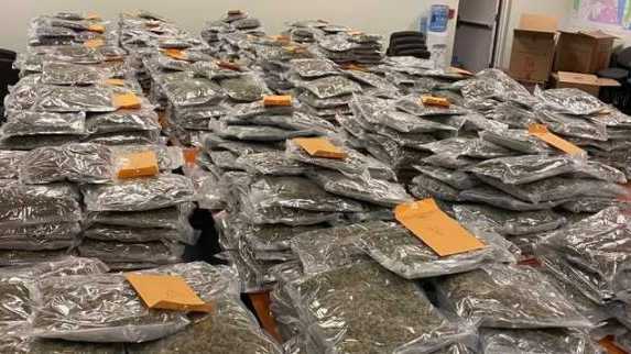 Florida: Deputies looking to return marijuana to rightful owner - Vimarsana News