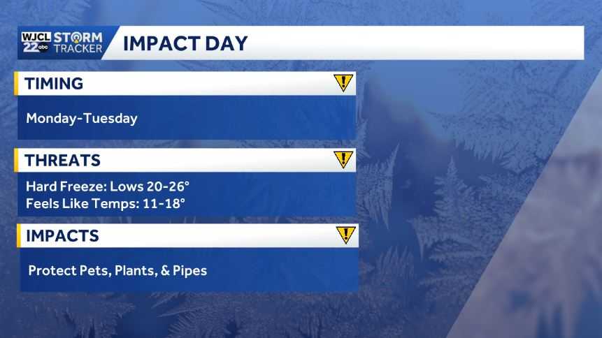 Bitter cold temperatures for Southeast Georgia and the Lowcountry - WJCL