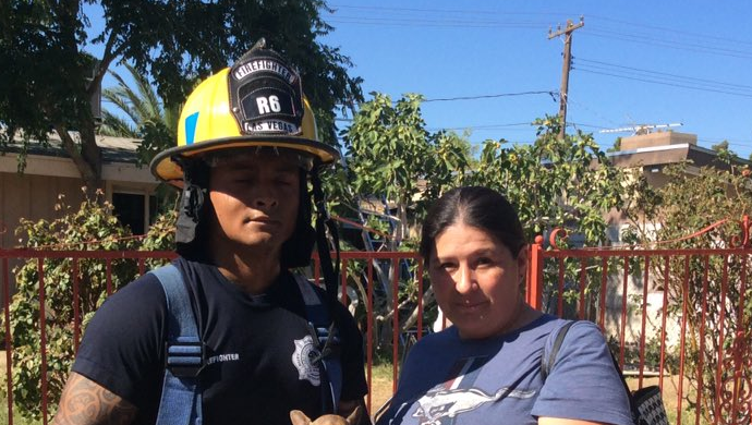 Firefighter saves dog from house fire on first call