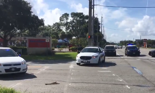 Driver Flees Deadly Volusia Crash Scene After Getting Out To Look At ...