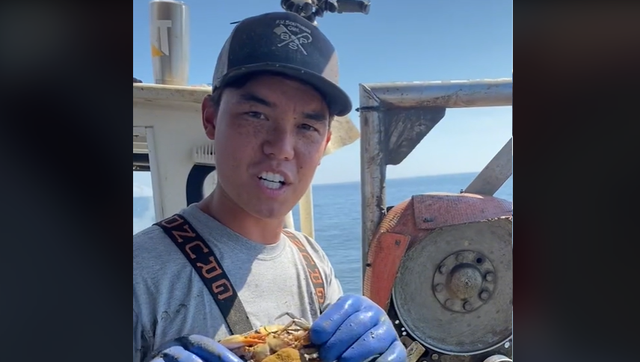 Young Maryland crabber gets 1M TikTok followers -- see how - Vimarsana News