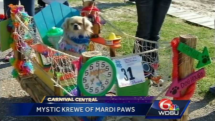 Mardi "Paws" Parade set to roll in Mandeville