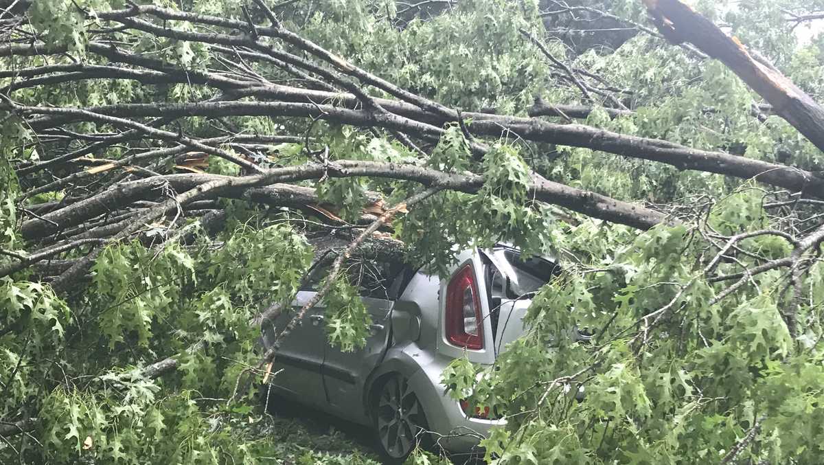 Trees smash cars, sheds in Greensboro neighborhood; 