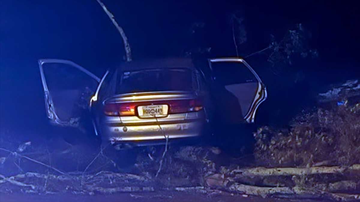 Car crashes into tree on Belvedere Drive after overnight storms