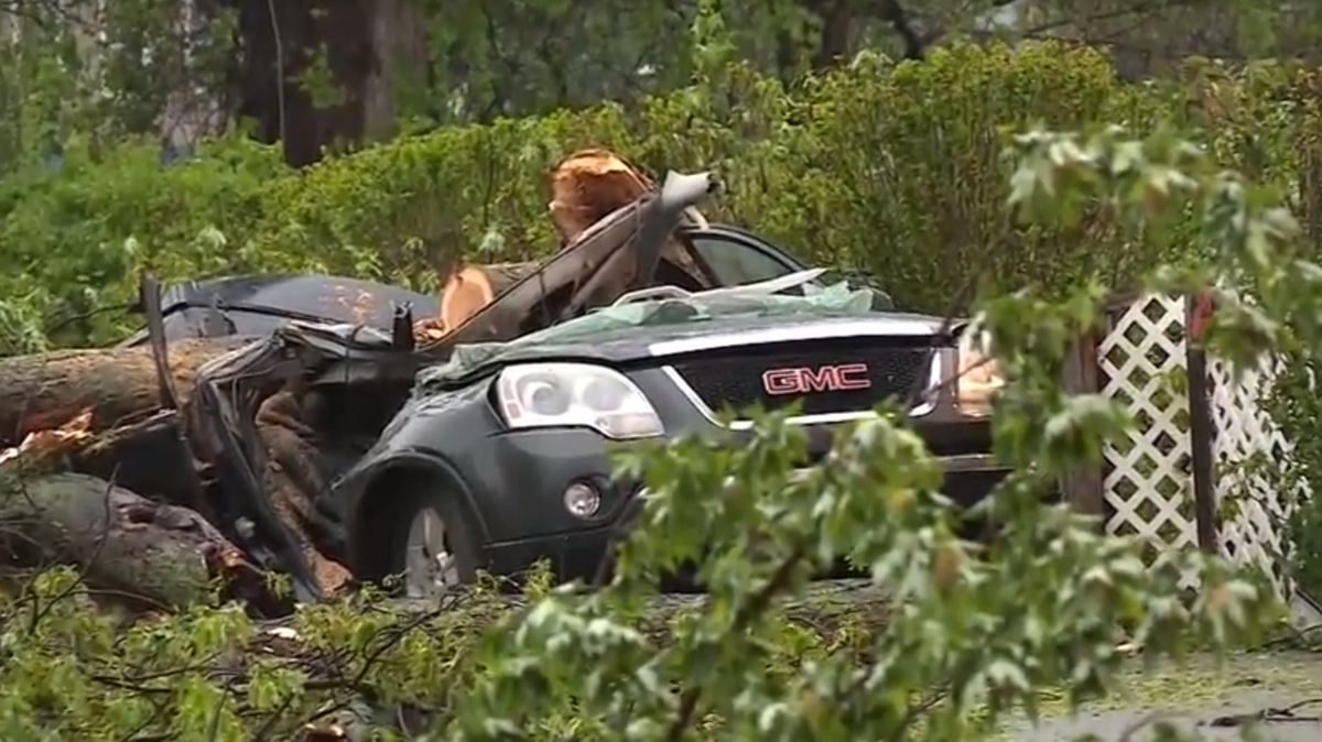 11-year-old girl killed when tree falls onto car during Northeast storm ...