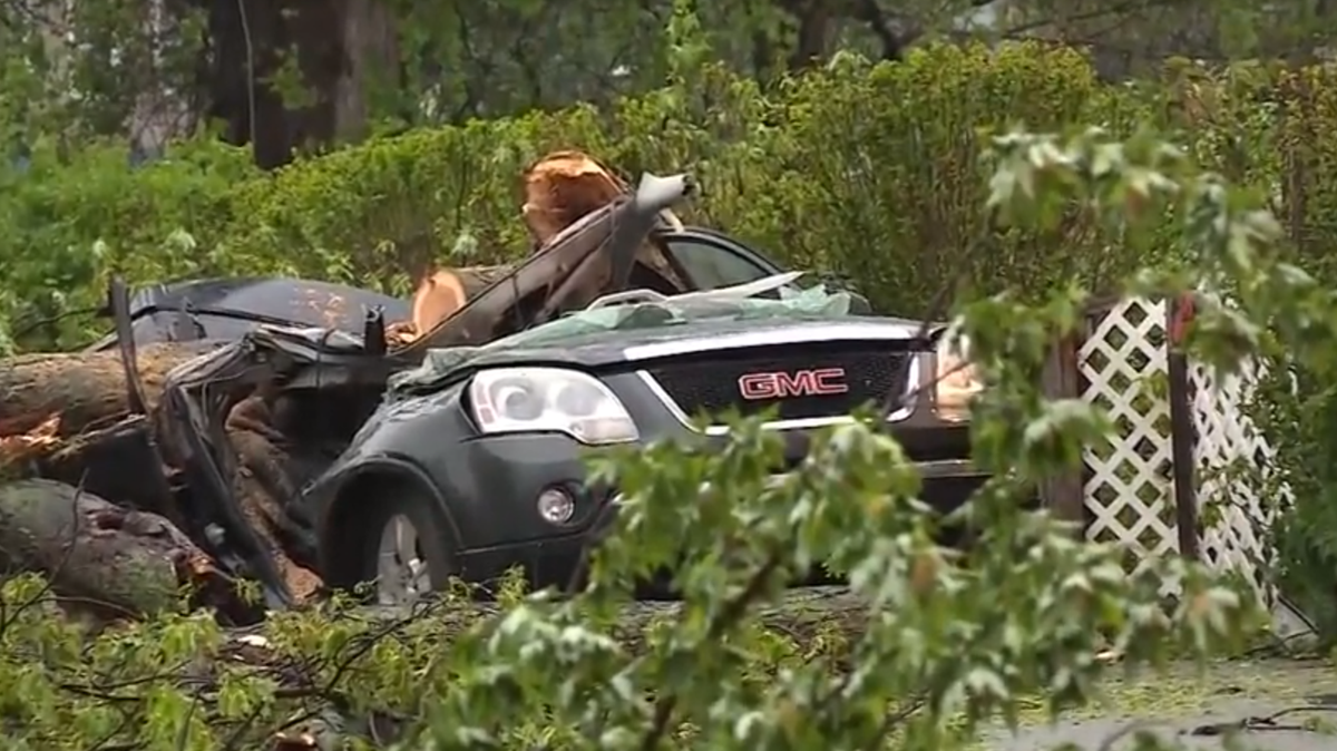 11-year-old girl killed when tree falls onto car during Northeast storm