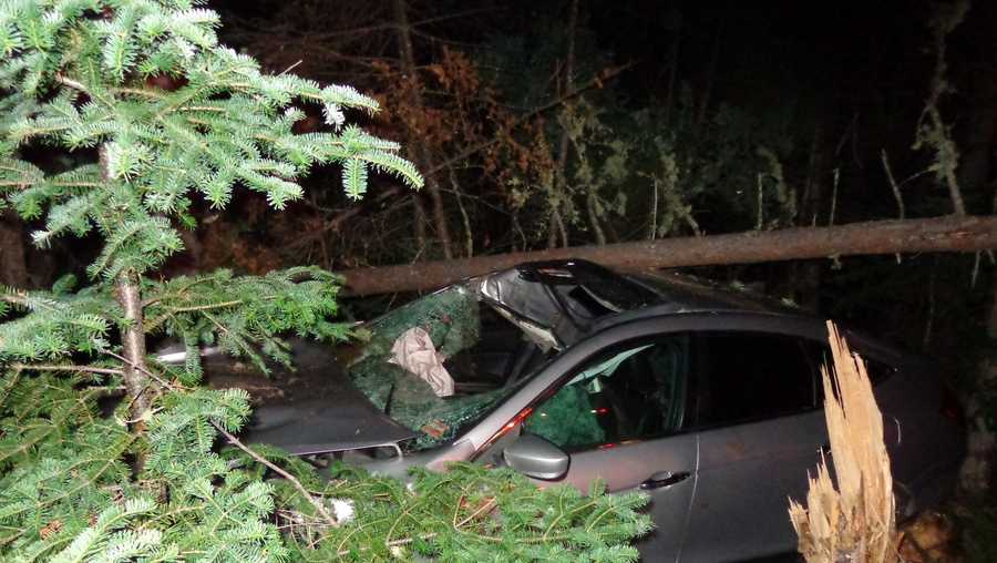 Moose crashes through windshield in Maine crash