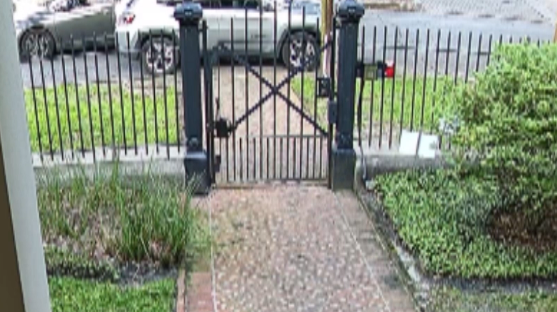 New Orleans Uptown car theft video