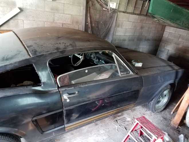 mustang&#x20;found&#x20;in&#x20;barn