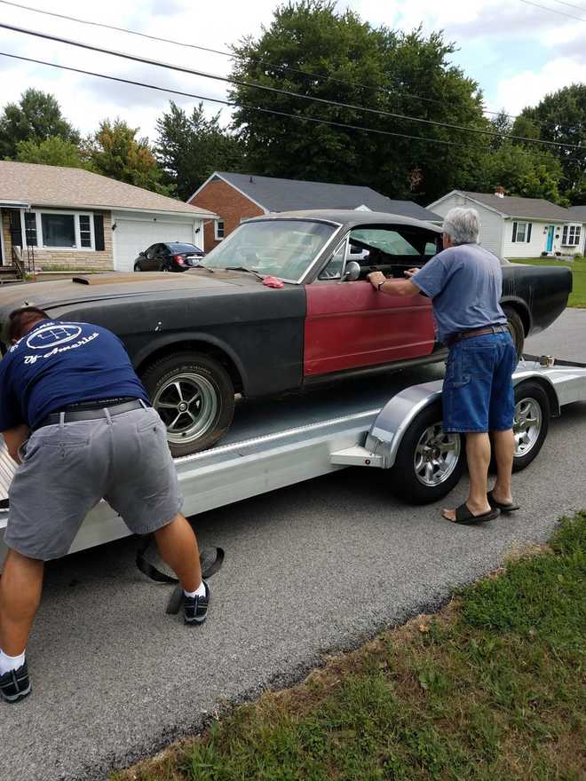 mustang&#x20;found&#x20;in&#x20;barn