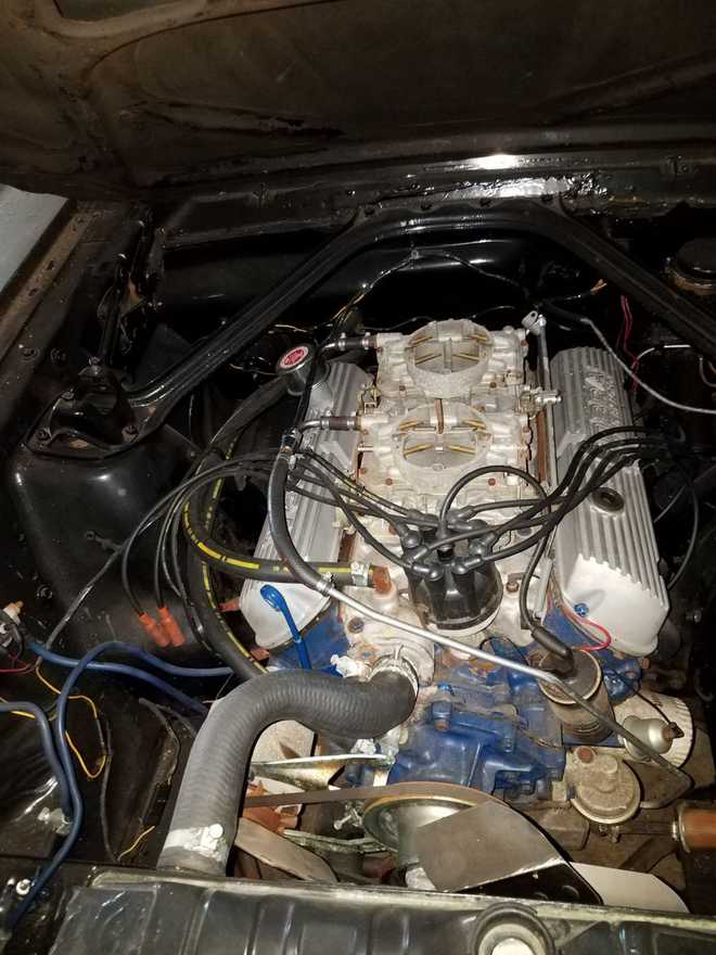 mustang&#x20;found&#x20;in&#x20;barn