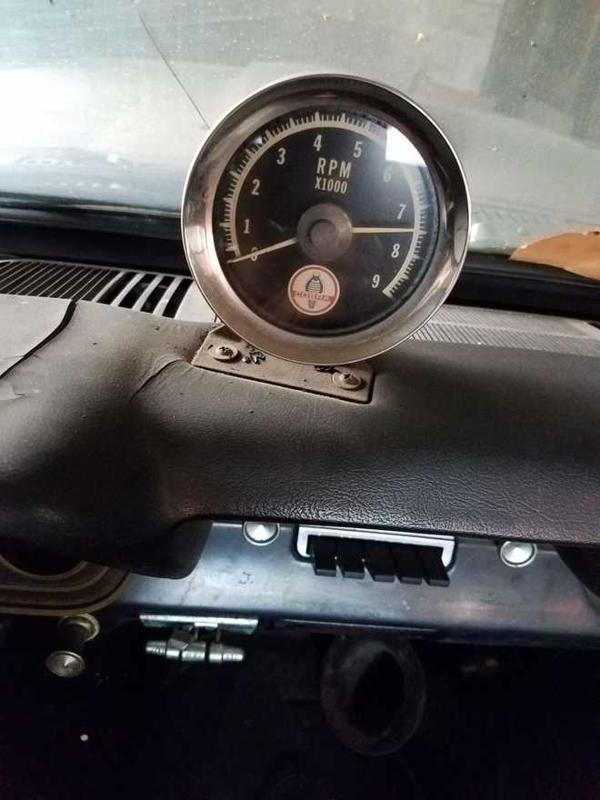 mustang&#x20;found&#x20;in&#x20;barn