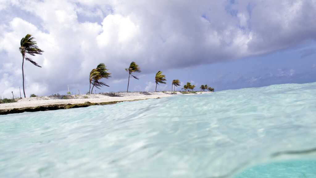 8 0 earthquake caribbean