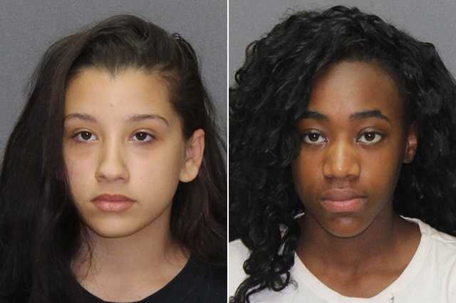 2 Teens Charged As Adults With Attempted Armed Carjacking Near School