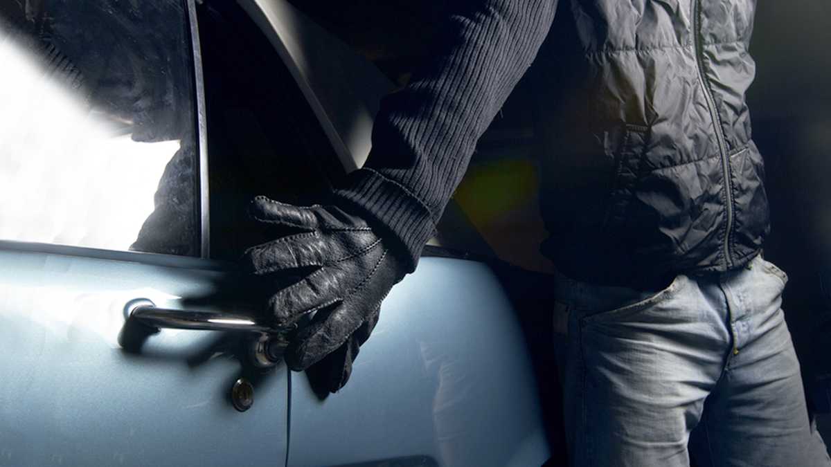 Carjacking victim shot during struggle inside vehicle