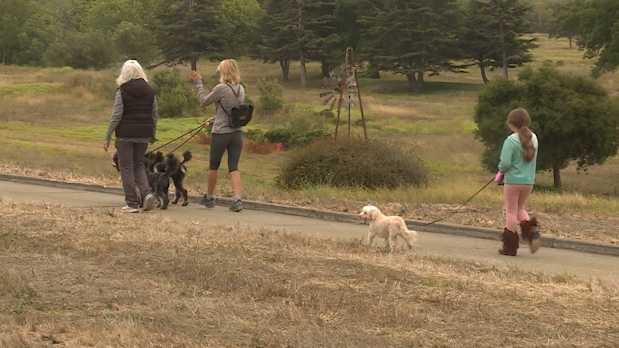 Off-leash dog park, other park development plans coming to Carmel soon - Vimarsana News