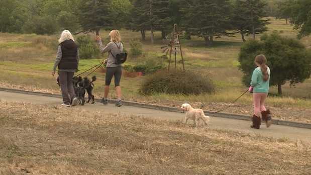 off leash dog park, other amentities coming to carmel soon