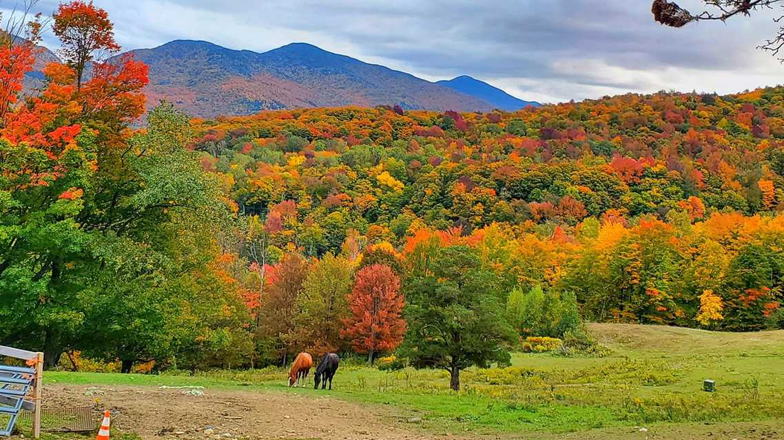 PHOTOS Fall foliage reaches peak in Vermont, northern New York