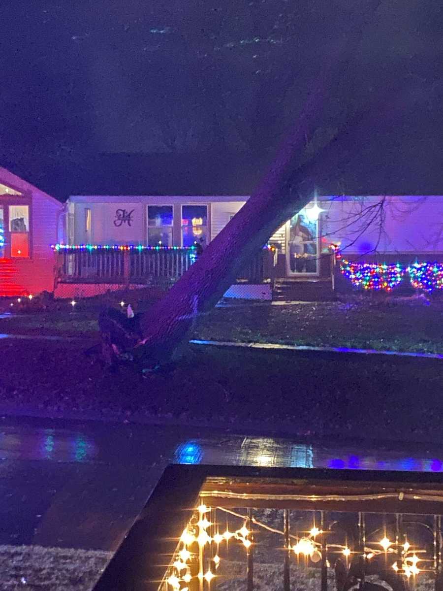 Tree down in Greenfield, Iowa tree down in greenfield, iowa