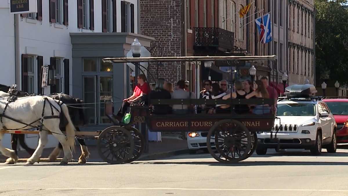 The fate of horse-drawn carriages in Savannah: City reviewing code