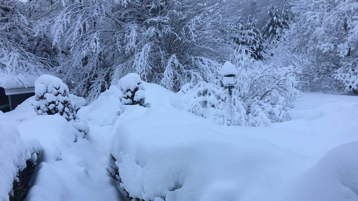 photos-heavy-wet-snow-blankets-maine