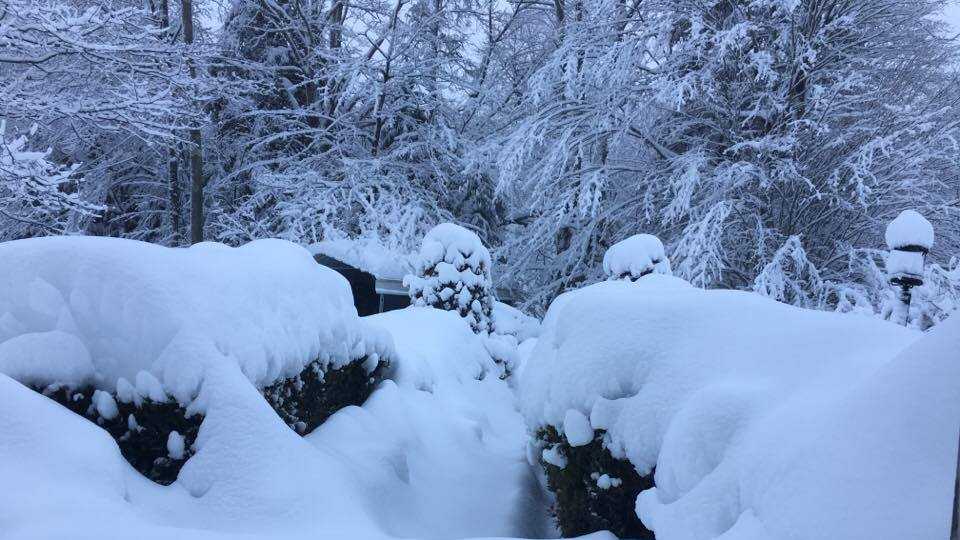 Photos: Heavy, wet snow blankets Maine