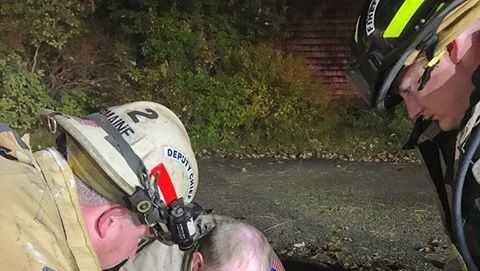 Firefighters rescue, resuscitate cat after house fire