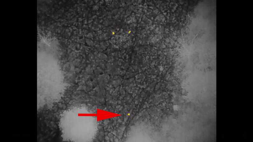 Cass County Sheriff's Office uses drone with thermal cam to find ...