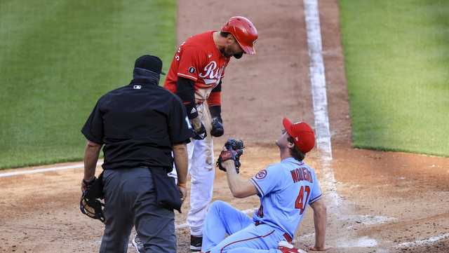 Cardinals manager asks umps to check Castellanos' chipped bat after grand  slam National News - Bally Sports