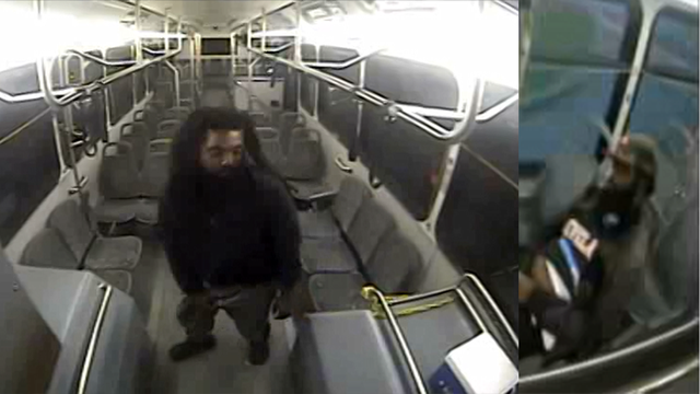 Georgia: Video shows public bus passengers performing lewd acts - Vimarsana News