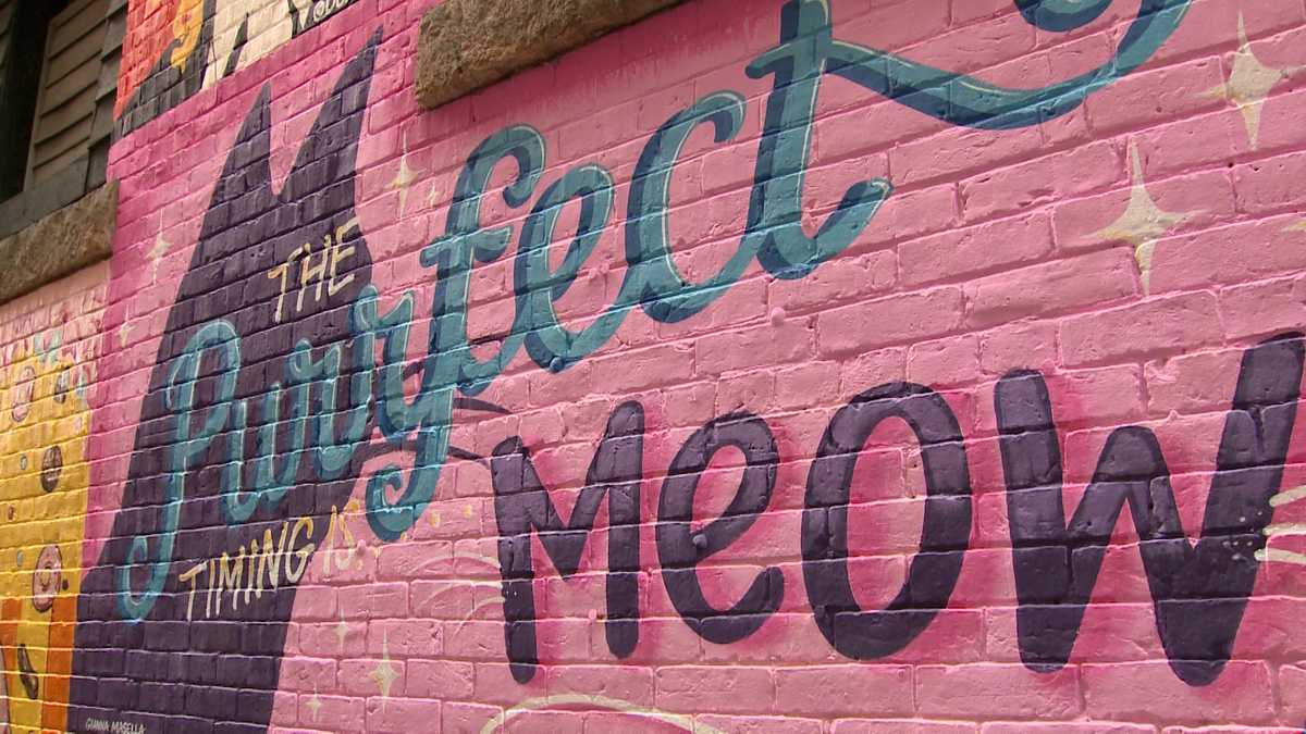 News We Love Artists update Cat Alley artwork in Manchester NH