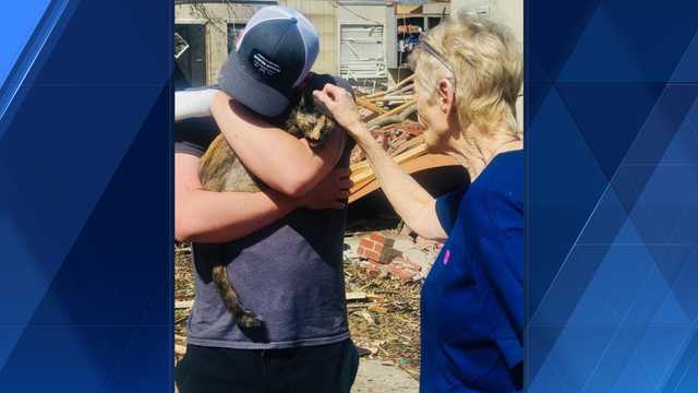 A sliver of good news in Mississippi's loss: Athena The Cat - Vimarsana News