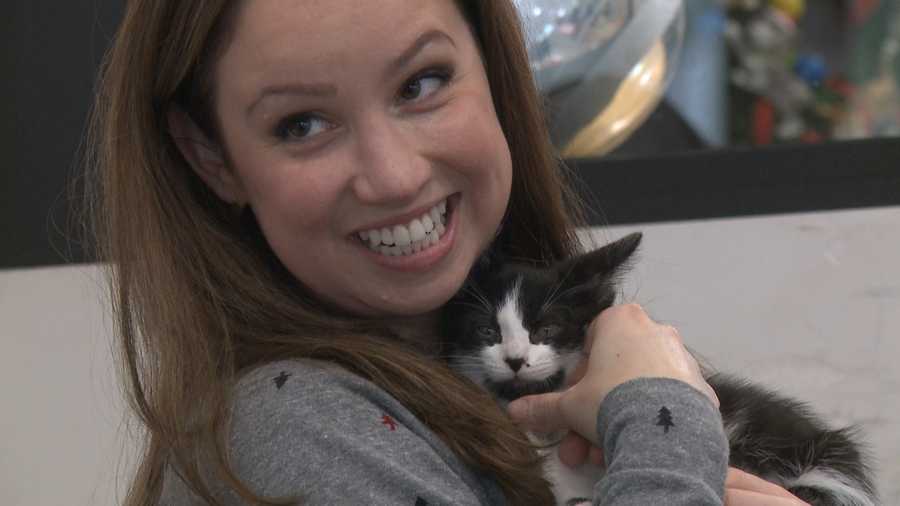  Purrfect  Day  Cafe celebrates over 400 adoptions 
