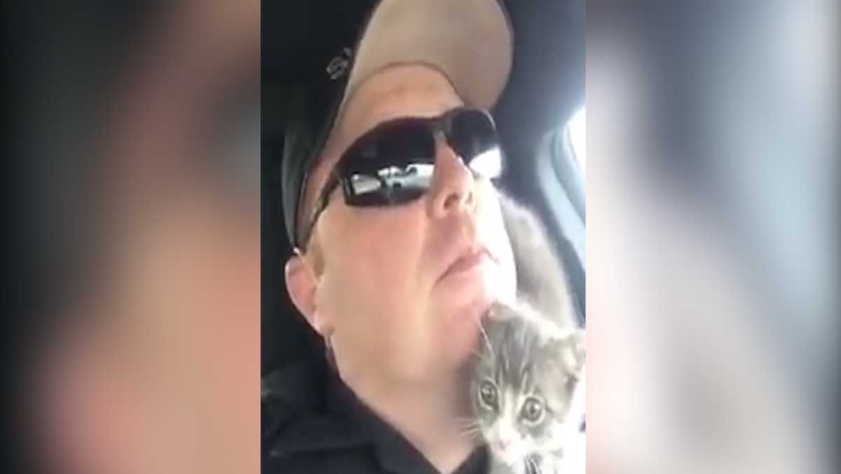 VIDEO: NorCal deputy rescues his new partner -- an adorable kitten