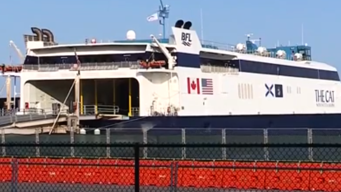 are dogs allowed on the cat ferry